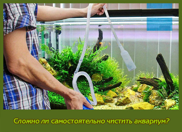 чистить аквариум