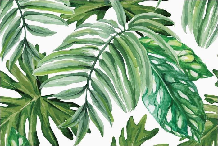 Листья тропические в картинках и детских рисунках