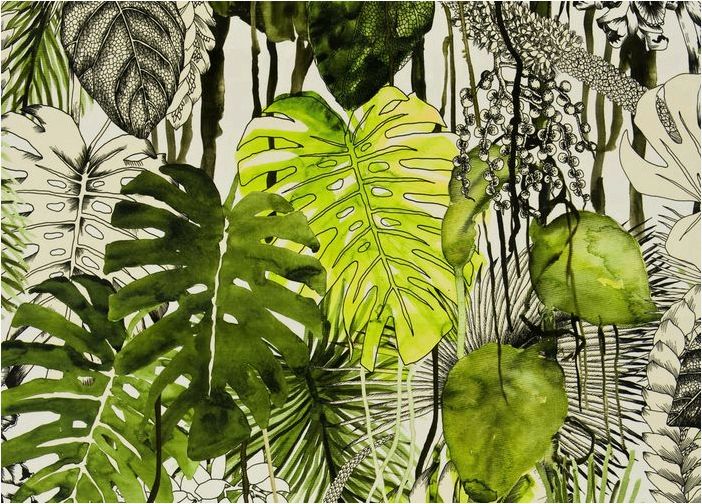 Листья тропические в картинках и детских рисунках