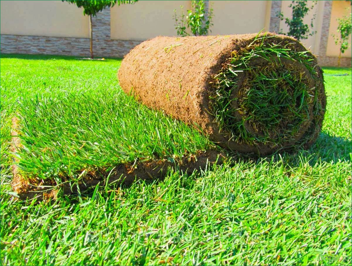 Рулонный газон — необходимый элемент благоустройства
