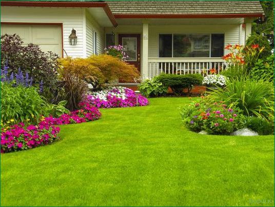 Экспертный обзор: как выбрать и использовать удобрения для газона весной и летом