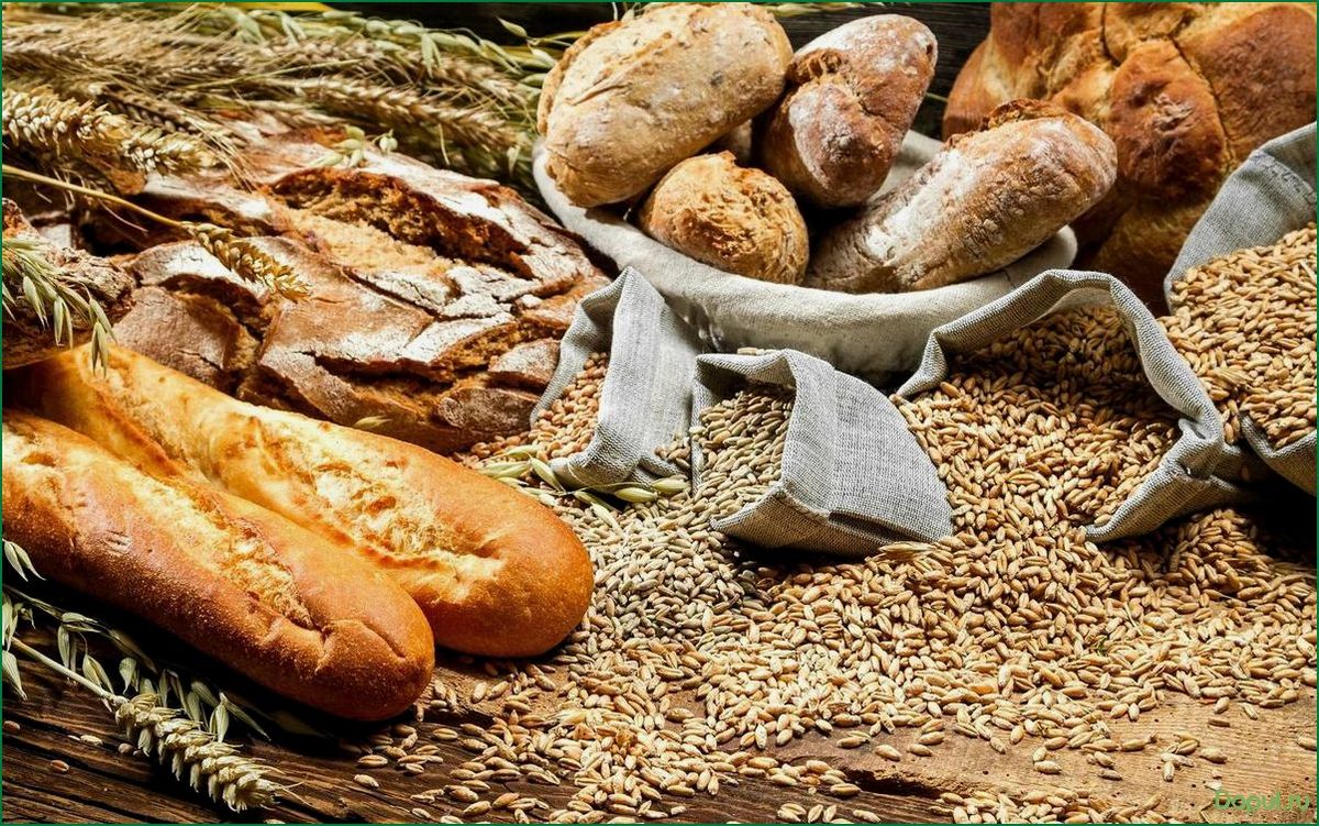 Купить зерно пшеницы для выпечки свежего домашнего хлеба: лучшие сорта и цены