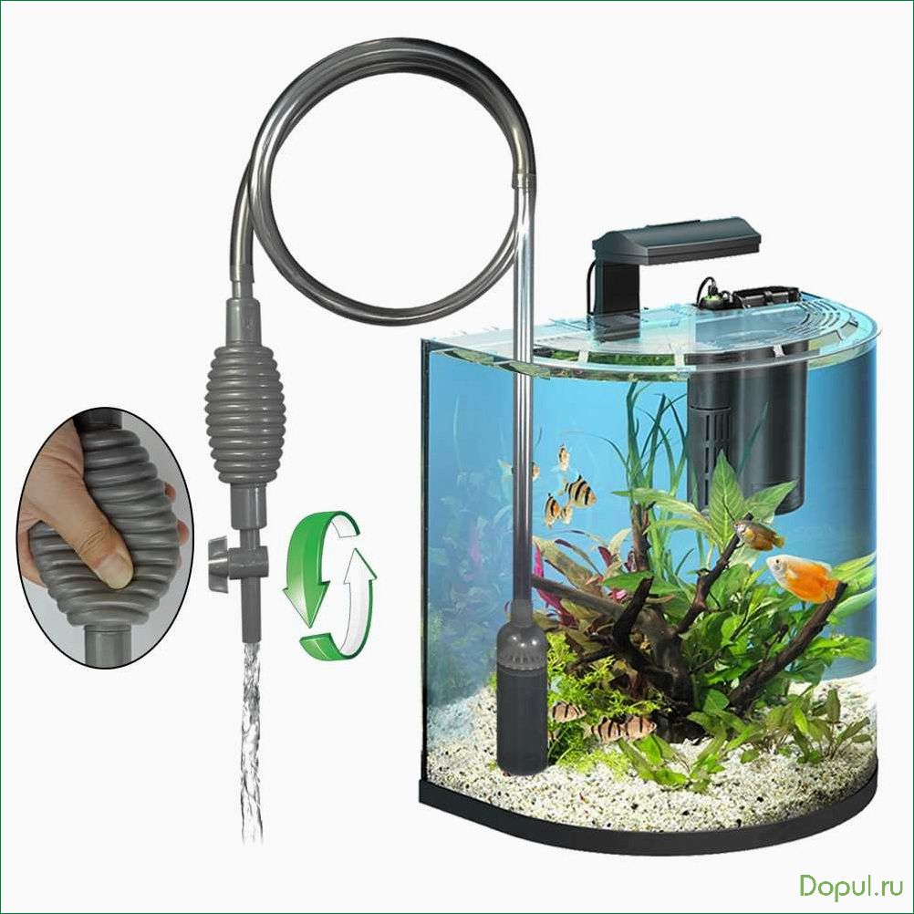 Выбираем помпу для аквариума: советы и рекомендации